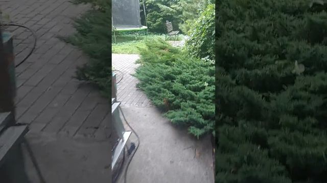 Гостевой Дом Добрыня Великий Новгород