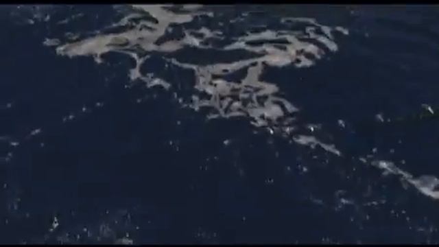 Рыбакам на заметку,смотрим и наслаждаемся