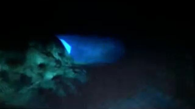 Jaws Unleashed PS2 Gameplay (Damn Tutorial) смотреть онлайн