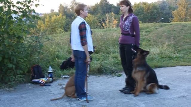 Послушка Чара и Урфин (рядом 1) 28.08.2013 смотреть онлайн