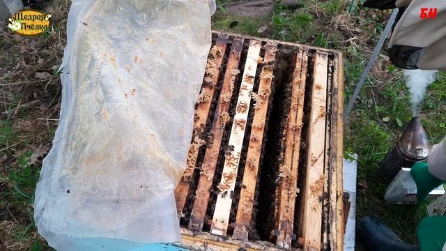 расширение весной не нужно почему столько кормов весной да смотреть онлайн