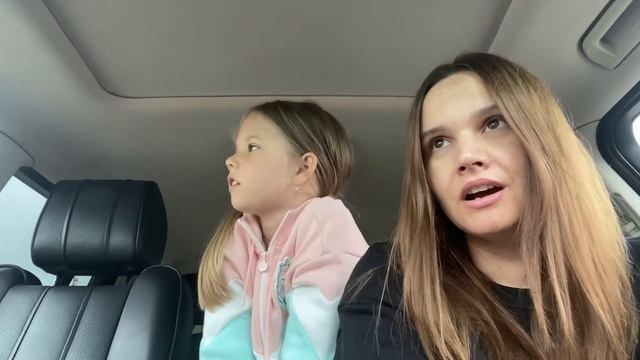 Как найти подписчиков? Сирийский хомяк смотреть онлайн