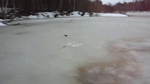 Ловля щуки на жерлицы по последнему льду