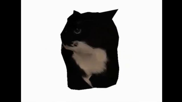 Spinning Cat Maxwell