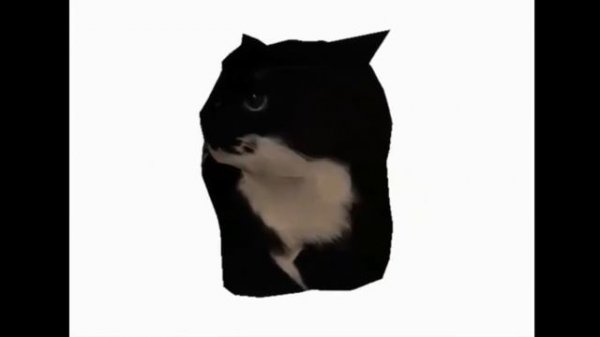 Spinning cat Maxwell