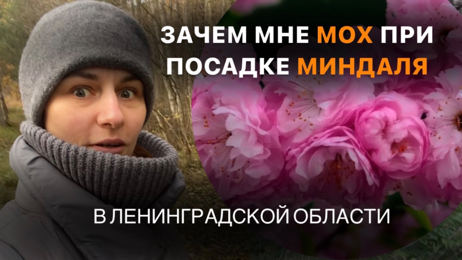 Как посадить Миндаль Трехлопастный, Ясень обыкновенный (деревья и кустарники) с помощью МХА.