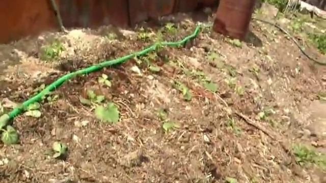 polivalkaza5minutver03 смотреть онлайн