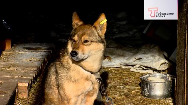 ДОМ ДЛЯ ДРУГА от 18.02.2024 12 ВЫПУСК смотреть онлайн