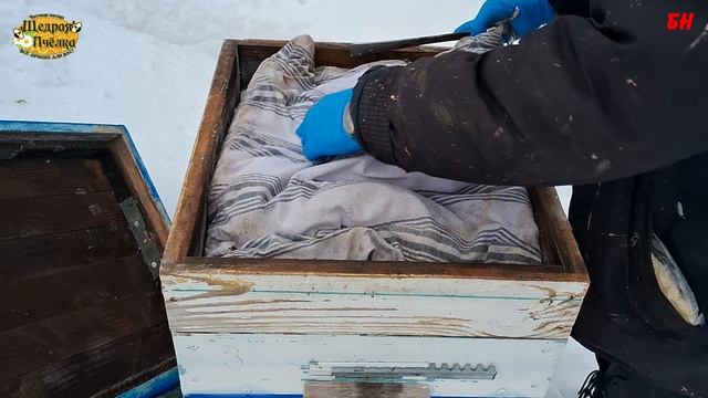 пчеловодство, зимовка на канди, объединение семей осенью смотреть онлайн