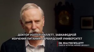 'Меняющие игру'   The Game Changers   фильм от Джеймса Кэмерона, Арнольда Шварценеггера и Джеки Чан