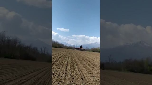 Как наши в Италии Бамбук для удочек нашли смотреть онлайн