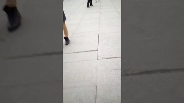 Обзор станция Метро ВДНХ КРЛ