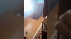 Страшный стук в дверь