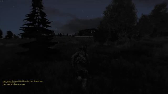 DayZ дом, камин, ночь...