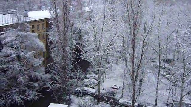 Москва. 17 ноября 2009 - Первый Снег