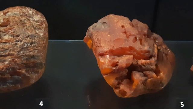 Путешествие в мир Янтаря. Уникальный янтарный музей в мировой столице янтаря - Гданьске. смотреть онлайн