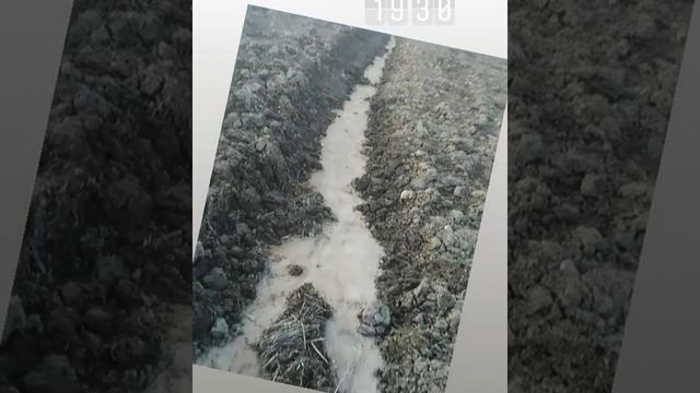 💪Песчаный ров💥 смотреть онлайн