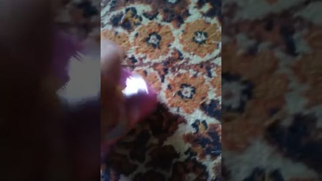 Это новые и крутые с крепыши