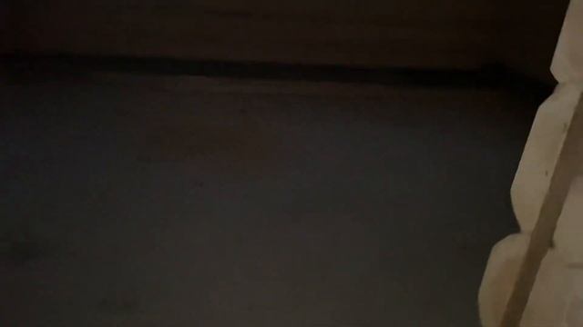 Обзор дома 224 кв.м. Дикие срубы смотреть онлайн