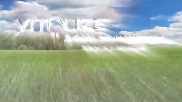 Витолайз для мужчин и женщин