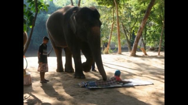 Паттайя Бангкок. Таиланд. Часть 6 смотреть онлайн