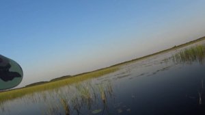 Осеняя охота на утку,с лодки.Hunting for a duck