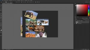 PureRef. Программа для референсов. Гайд для творческих