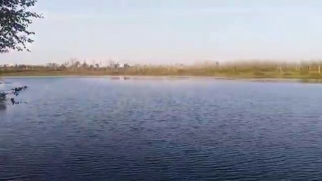 Убежище охотников и рыбаков.Найден в ХМАО.Савуйское м/р смотреть онлайн