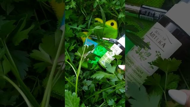 анпакинг с нонари 🤗 смотреть онлайн