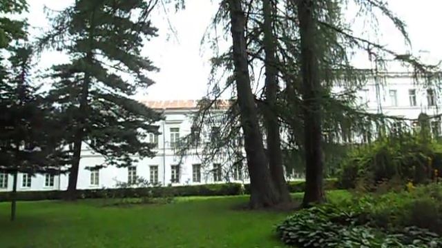 СПбГЛТУ им С.М. Кирова 28-08-2017, С-Петербург смотреть онлайн