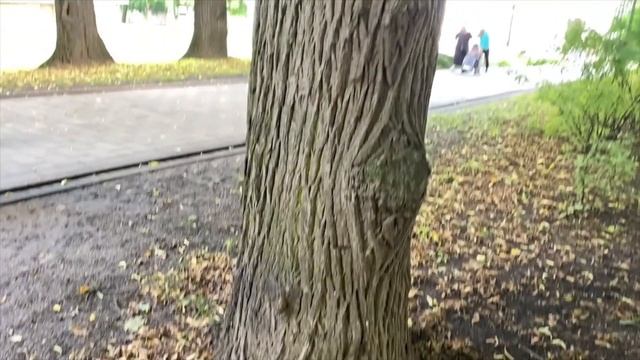 КОЛОМЕНСКОЕ летом. Скучный парк смотреть онлайн