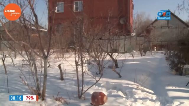 Садовые истории — ревизию зимнего сада проводит опытный садовод смотреть онлайн