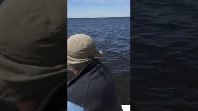 Рыбалка в америке