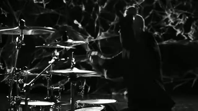 AMATORY   Первый