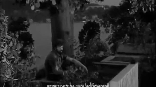 24 февраля 2017 г.