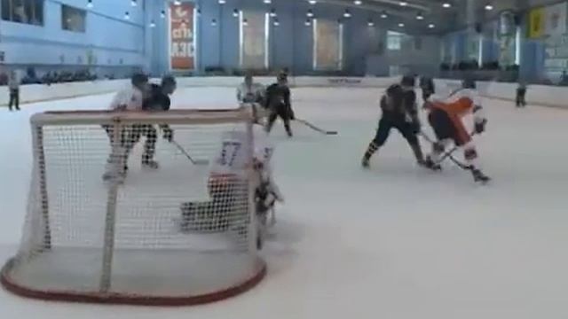 Бобры Дизелист 2016