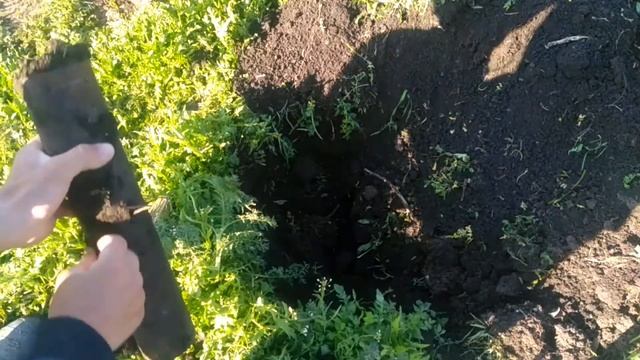 Ловля крота! смотреть онлайн