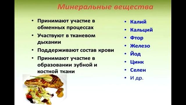 Основы питания