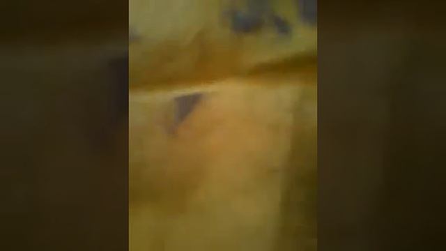 Веселая тряпка (чистая случацность#1) смотреть онлайн