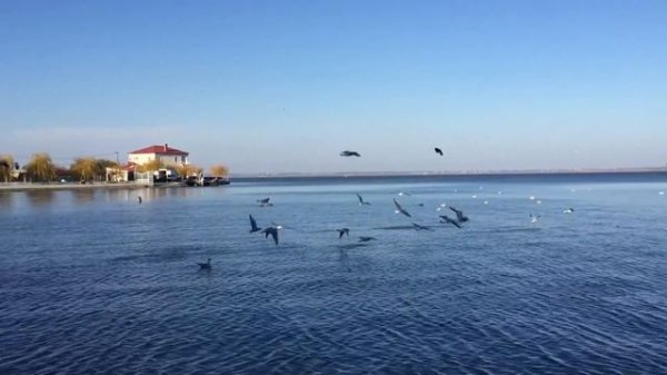 Белгород-Днестровский ноябрь 2021 / Аккерман / Днестровский лиман / Akkerman November 2021