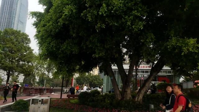 Opera house China. смотреть онлайн