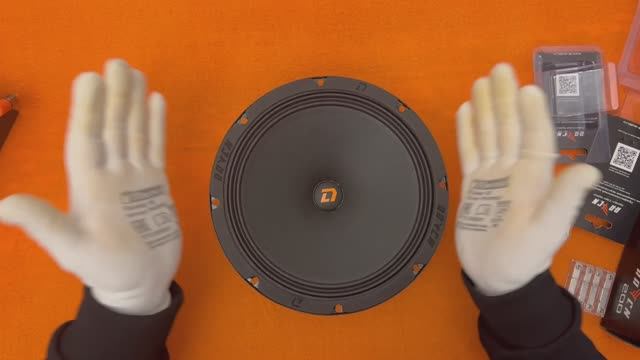 DL Audio Raven 200 + Набор вкусняшек от DL