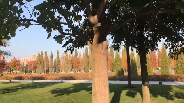 ПАРК ГАЛИЦКОГО! ПОБЫВАЛИ В СКАЗКЕ! смотреть онлайн