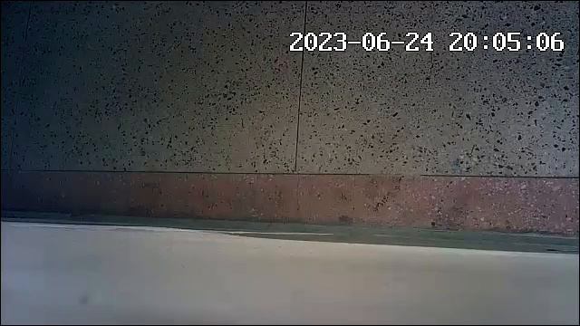 24 июня 2023 г.тварь выходит трясет гниль у стены практически у меня под дверью и на дверь . паскуд смотреть онлайн