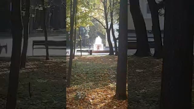 Кусково и Измайлово 09.2020