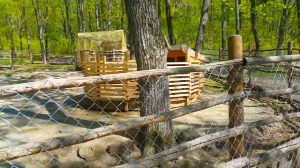 ШТЫКОВСКИЕ ПРУДЫ Приморский край