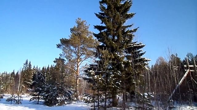 Ансамбль русской песни «Традиция» Подольск. 5-й отчетный концерт 14.04.16 смотреть онлайн