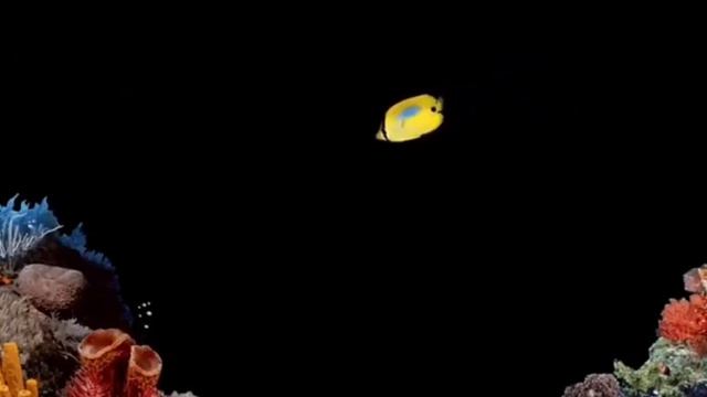 Windows95 - Underwater - Screensaver смотреть онлайн