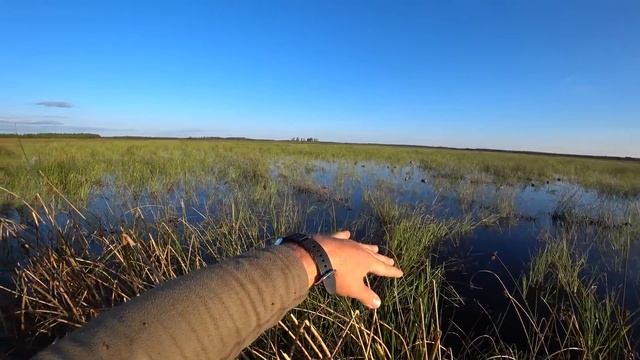 МАНОК МАХОКРЫЛ И МНОГО УТКИ! ОХОТА НА УТКУ С ЧУЧЕЛАМИ. смотреть онлайн