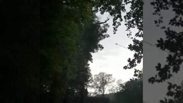 Удаление дерева с использованием оттяжки смотреть онлайн